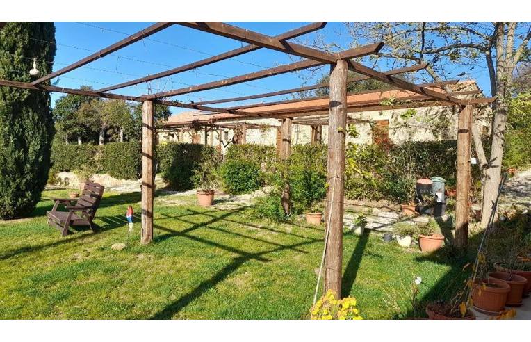 negozio in vendita a Massa Marittima