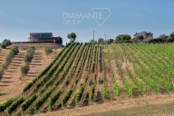 appartamento in vendita a Massa Marittima