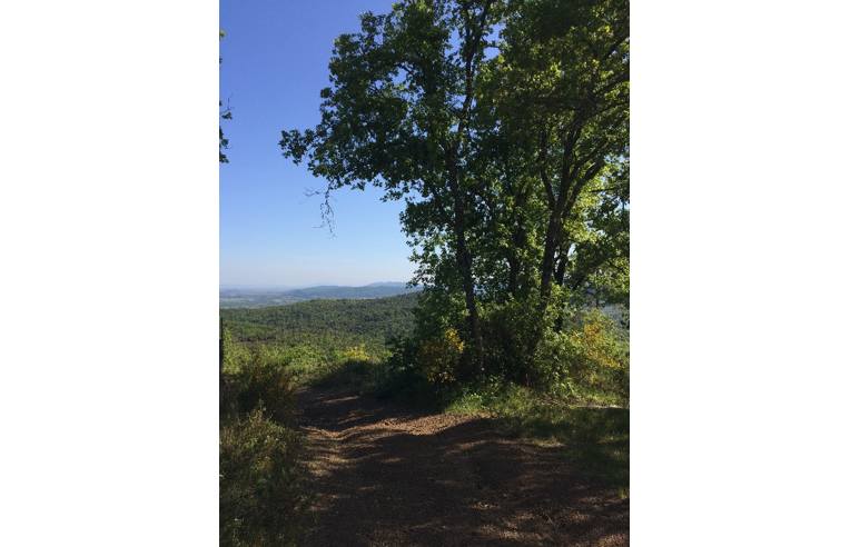 casa indipendente in vendita a Massa Marittima in zona Ghirlanda