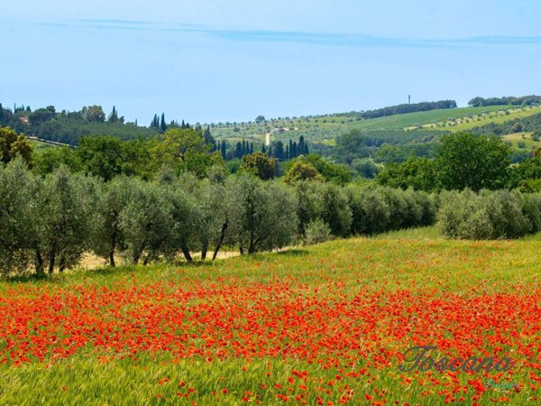 casale in vendita a Massa Marittima in zona Tatti