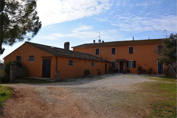azienda agricola in vendita a Massa Marittima