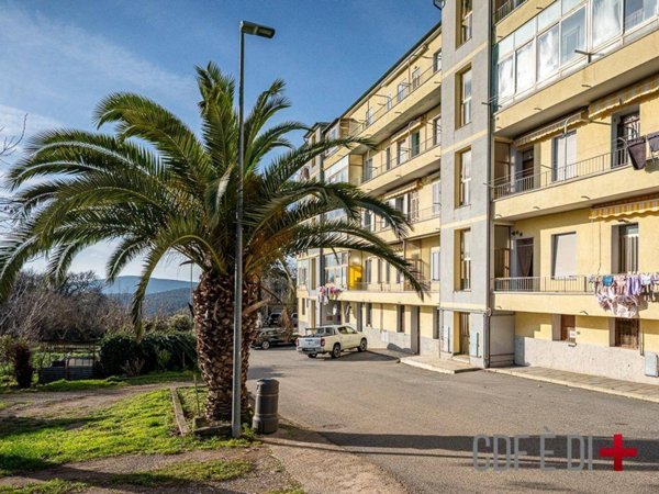 appartamento in vendita a Massa Marittima in zona Niccioleta