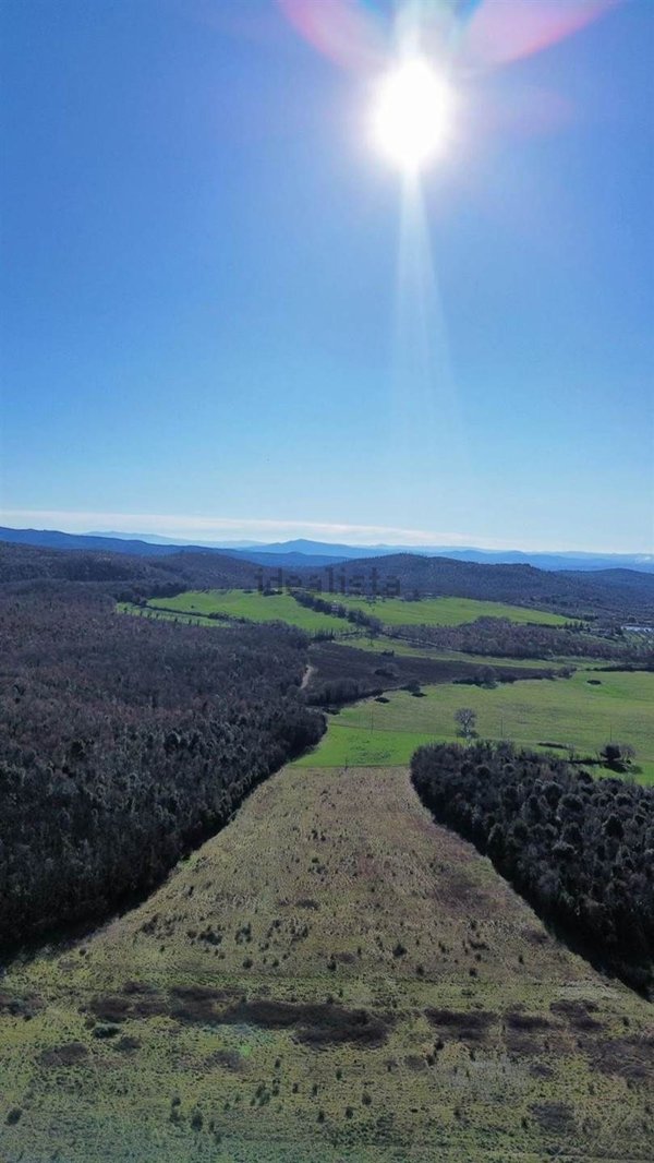 terreno agricolo in vendita a Massa Marittima