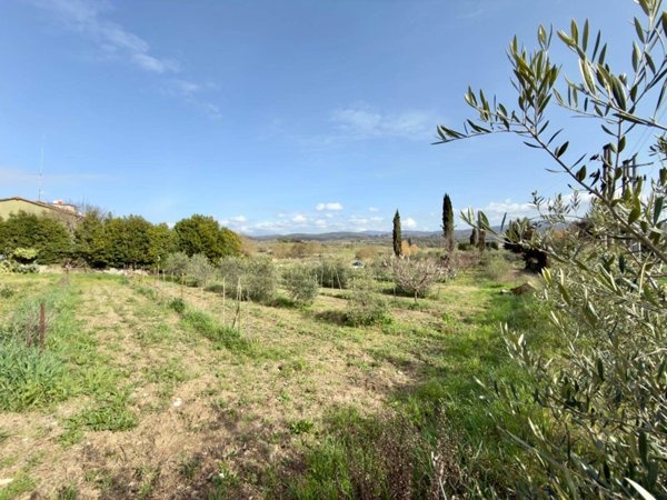 terreno agricolo in vendita a Massa Marittima in zona Ghirlanda