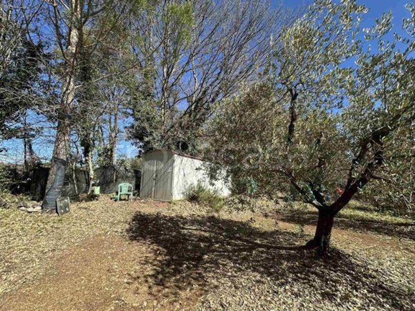 terreno agricolo in vendita a Massa Marittima