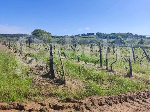 casa indipendente in vendita a Massa Marittima