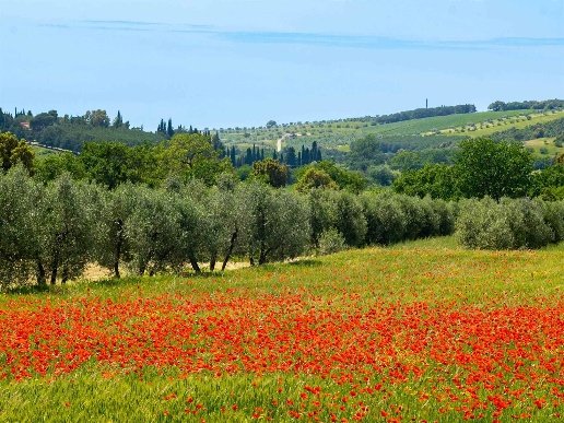 appartamento in vendita a Massa Marittima