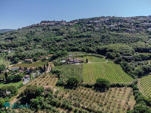 terreno agricolo in vendita a Massa Marittima