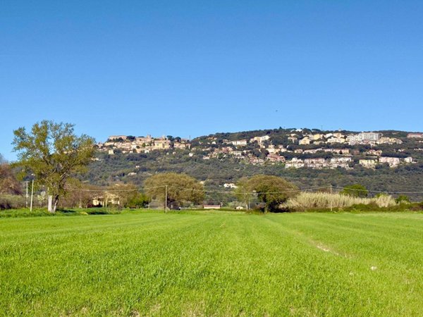 terreno agricolo in vendita a Massa Marittima