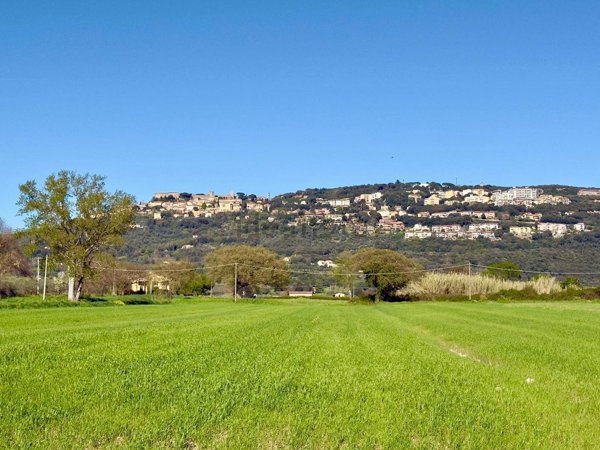 terreno agricolo in vendita a Massa Marittima