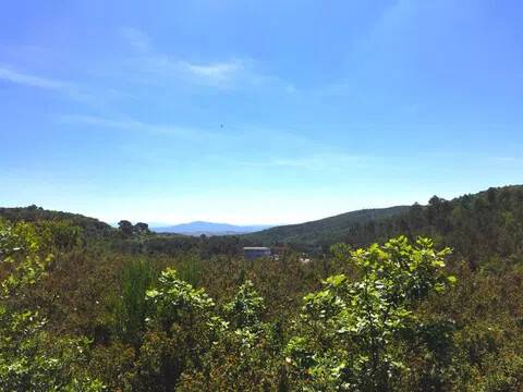 terreno agricolo in vendita a Massa Marittima