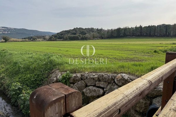 terreno agricolo in vendita a Massa Marittima