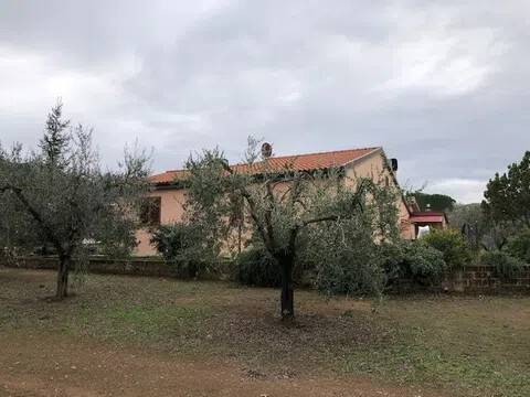 pentavano in vendita a Massa Marittima