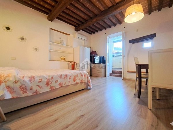 appartamento in vendita a Massa Marittima