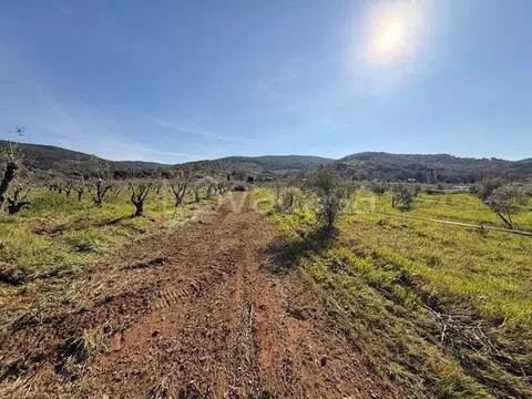 terreno agricolo in vendita a Massa Marittima in zona Niccioleta
