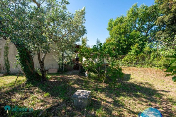 terreno agricolo in vendita a Massa Marittima in zona Niccioleta