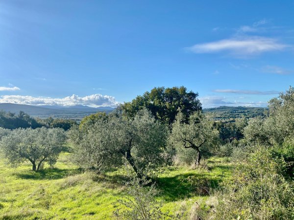 terreno agricolo in vendita a Massa Marittima in zona Niccioleta