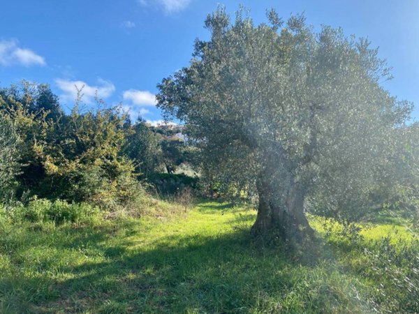 terreno agricolo in vendita a Massa Marittima in zona Niccioleta