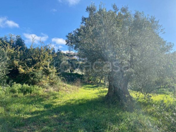 terreno agricolo in vendita a Massa Marittima in zona Niccioleta