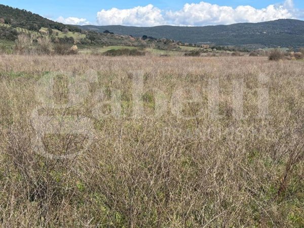 terreno agricolo in vendita a Massa Marittima