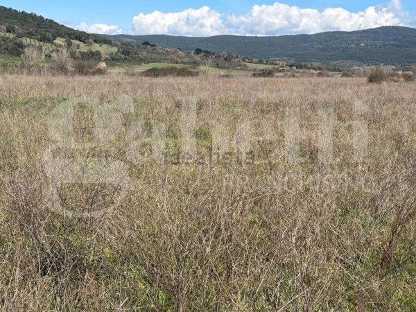 terreno agricolo in vendita a Massa Marittima in zona Ghirlanda