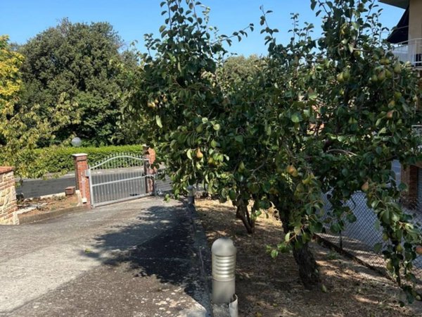 appartamento in vendita a Massa Marittima in zona Ghirlanda