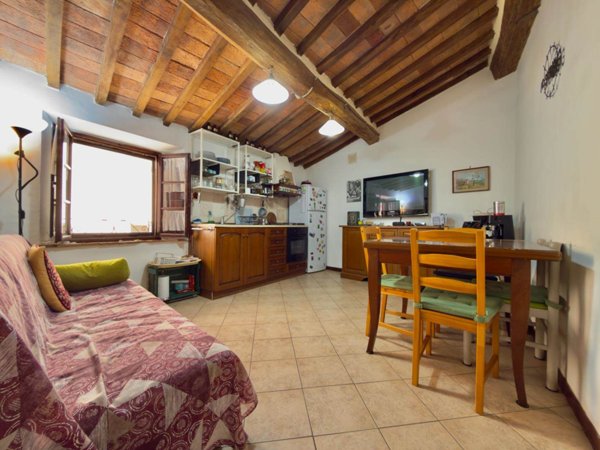 appartamento in vendita a Massa Marittima