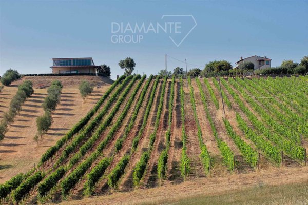azienda agricola in vendita a Massa Marittima in zona Ghirlanda