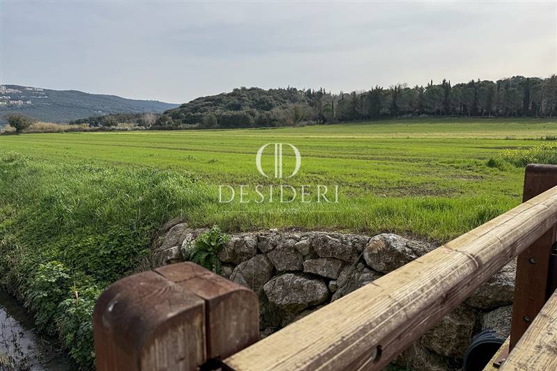 terreno agricolo in vendita a Massa Marittima