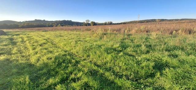 terreno agricolo in vendita a Massa Marittima in zona Ghirlanda