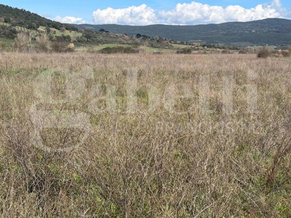 terreno agricolo in vendita a Massa Marittima in zona Ghirlanda