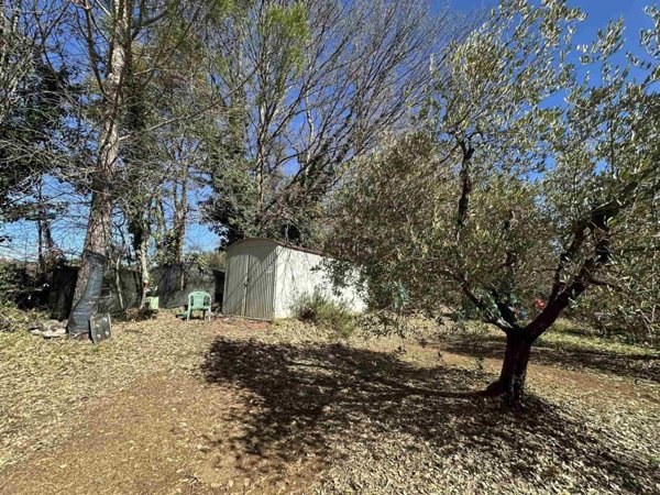 terreno agricolo in vendita a Massa Marittima
