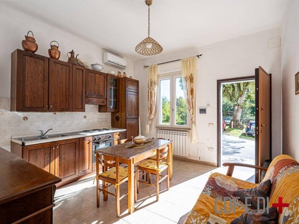 appartamento in vendita a Massa Marittima in zona Niccioleta