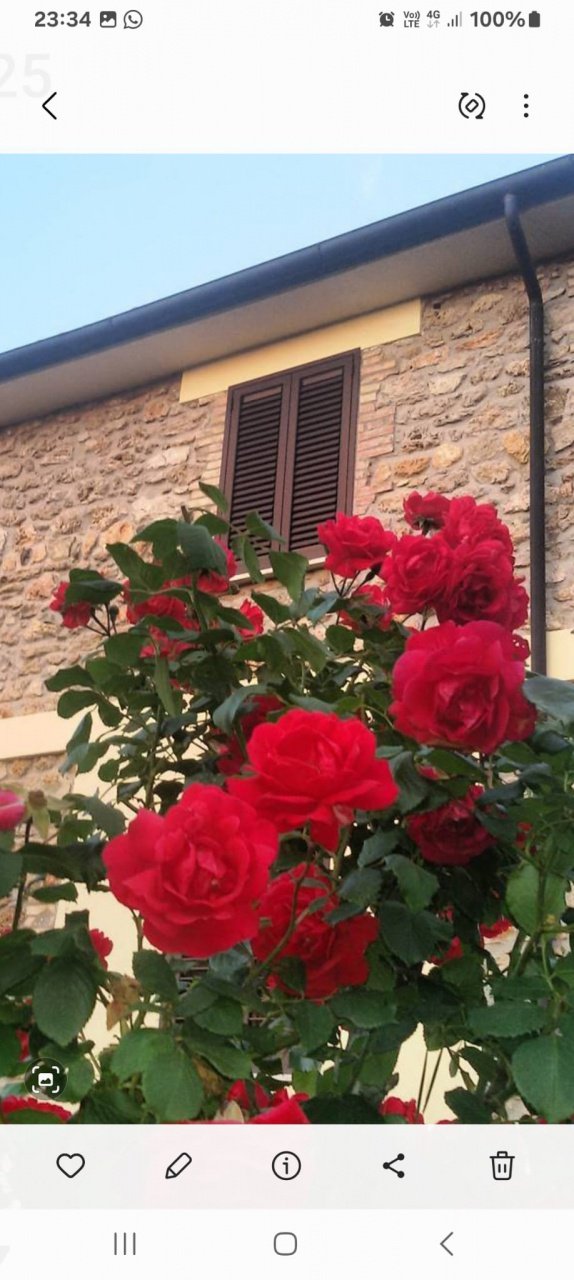 appartamento in vendita a Massa Marittima