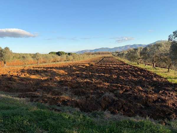 terreno in vendita a Massa Marittima