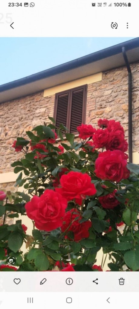 casa indipendente in vendita a Massa Marittima