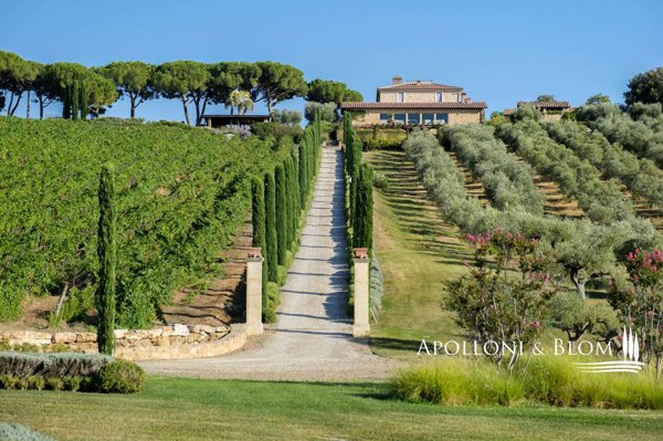 casa indipendente in vendita a Massa Marittima