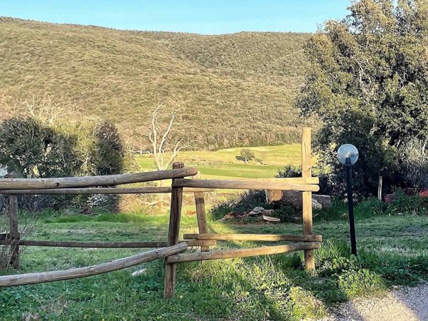 terreno agricolo in vendita a Massa Marittima