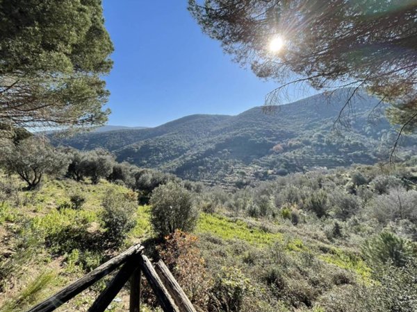 casa indipendente in vendita a Monte Argentario in zona Porto Santo Stefano