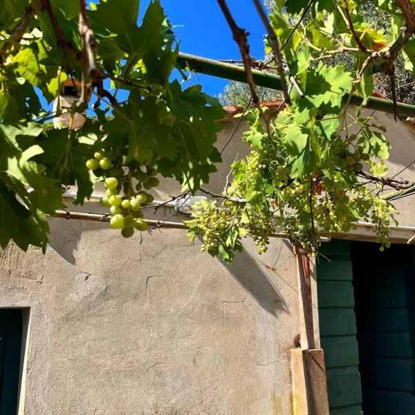 appartamento in vendita a Monte Argentario in zona Porto Santo Stefano