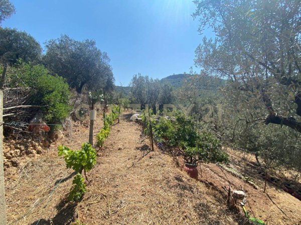 appartamento in vendita a Monte Argentario in zona Porto Santo Stefano