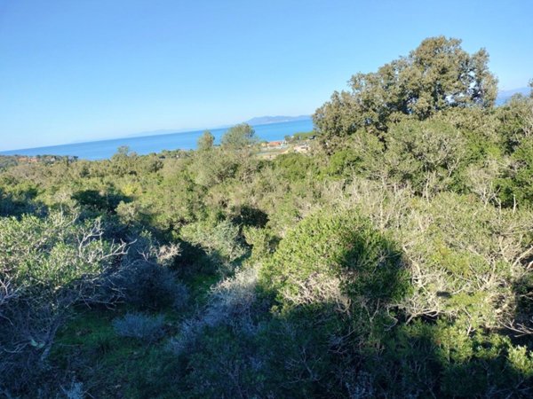 appartamento in vendita a Monte Argentario