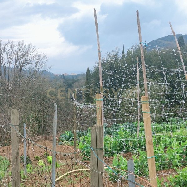appartamento in vendita a Monte Argentario