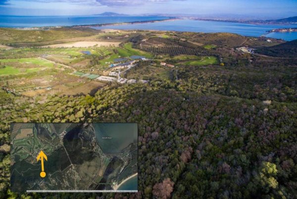 azienda agricola in vendita a Monte Argentario in zona Porto Ercole