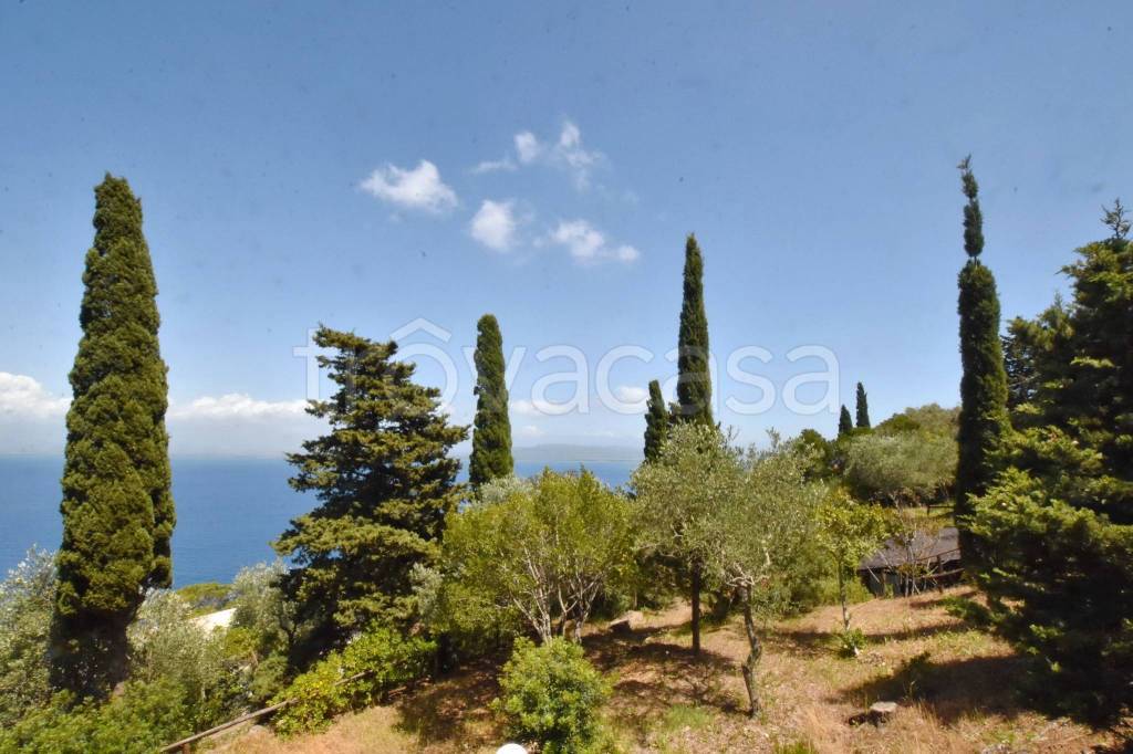 casa indipendente in vendita a Monte Argentario in zona Porto Santo Stefano