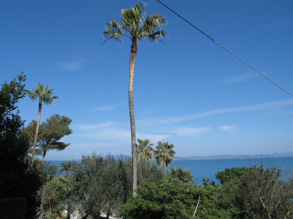 appartamento in vendita a Monte Argentario in zona Porto Santo Stefano
