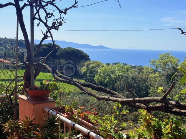 appartamento in vendita a Monte Argentario in zona Porto Santo Stefano