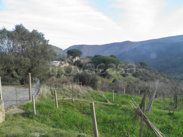 terreno agricolo in vendita a Monte Argentario in zona Porto Santo Stefano