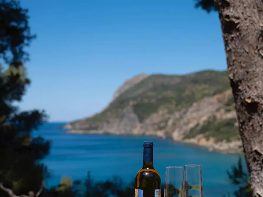 casa indipendente in vendita a Monte Argentario in zona Porto Santo Stefano