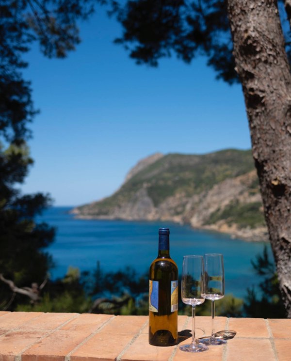 casa indipendente in vendita a Monte Argentario in zona Porto Santo Stefano